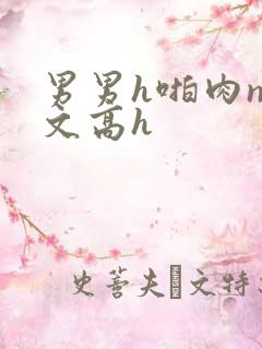 男男h啪肉np文高h