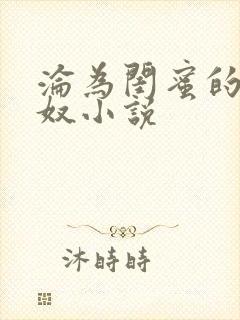 沦为闺蜜的女贱奴小说