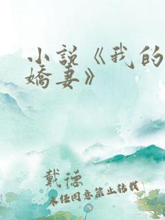 小说《我的极品娇妻》
