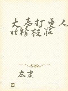 大奉打更人 txt精校版