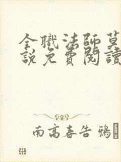 全职法师莫凡小说免费阅读全文无删减