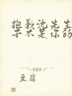 抱歉沈先生,孩子不是你的 短剧 在线观看