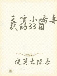 天价小娇妻 总裁的33日