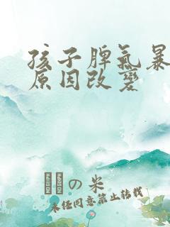 孩子脾气暴躁的原因改变