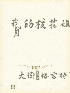 我的校花姐姐木月