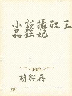 小说摄政王的医品狂妃