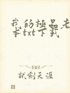 我的极品老婆完本txt下载