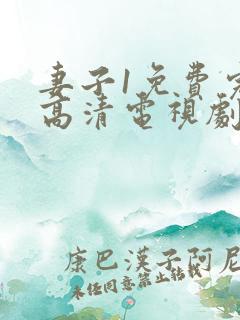 妻子1免费完整高清电视剧在线看