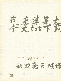我老婆是大明星全文txt下载