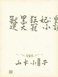 兽黑狂妃:皇叔逆天宠 小说