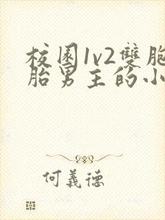 校园1v2双胞胎男主的小说推荐