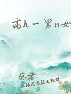 高h一男n女文