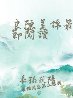 良陈美锦最新章节阅读