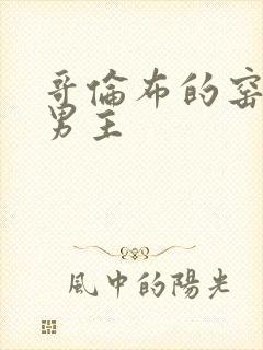 哥伦布的窑洞双男主