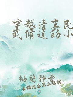 穿越清末民国练武修道的小说