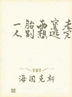 一胎两宝老婆大人别想逃完整版免费阅读