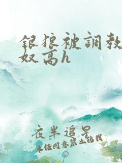 银狼被调教成肉奴高h