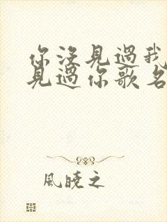 你没见过我我没见过你歌名