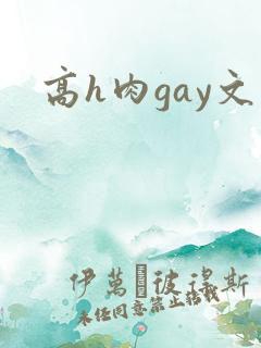 高h肉gay文