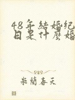 48年结婚纪念日是什么婚