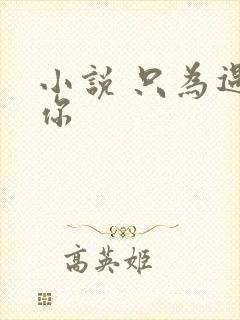 小说 只为遇见你