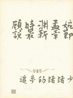 顾时渊孟婉婷小说最新章节更新内容