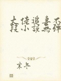 大佬追妻不择手段小说无弹窗最新章节