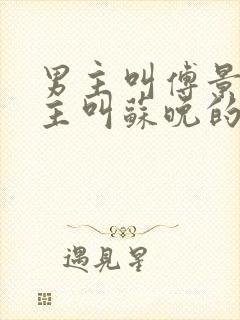 男主叫傅景琛女主叫苏晚的小说