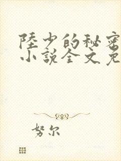 陆少的秘密恋人小说全文免费阅读