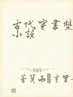 古代穿书双男主小说