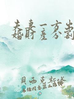 夫妻一方出轨离婚财产分割