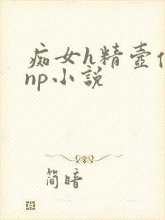 痴女h精壶便器np小说