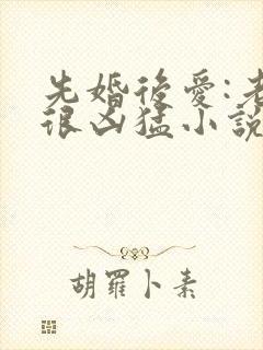 先婚后爱:老公很凶猛小说txt下载