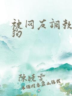 被网友调教成母狗