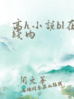 高h小说bl在线肉