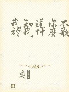 我知道你不再属于我什么歌