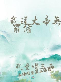 武道大帝无弹窗 罗修