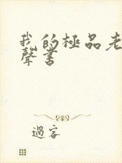 我的极品老婆有声书