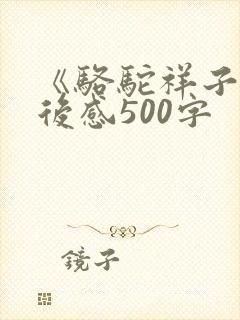 《骆驼祥子》观后感500字