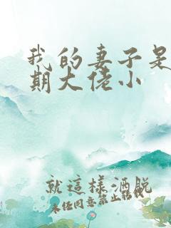 我的妻子是大乘期大佬小