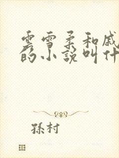 云雪柔和戚砺川的小说叫什么名字