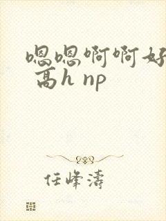 嗯嗯啊啊好爽啊 高h np