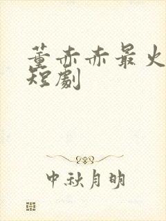 董赤赤最火十部短剧