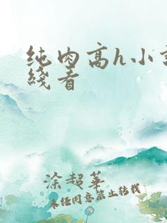 纯肉高h小说在线看