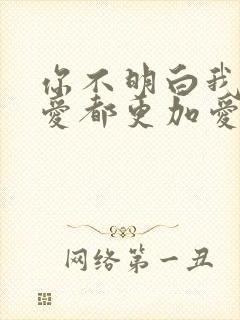 你不明白我说不爱都更加爱是什么歌