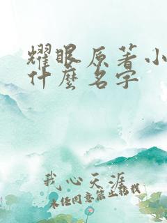 耀眼原著小说叫什么名字