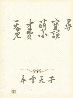 天才萌宝寻爹记免费小说