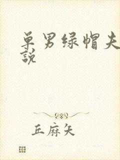 单男绿帽夫妻小说