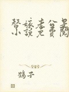 替嫁老公是大佬小说免费阅读