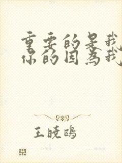 重要的是我会爱你的因为我害怕寂寞是什么歌